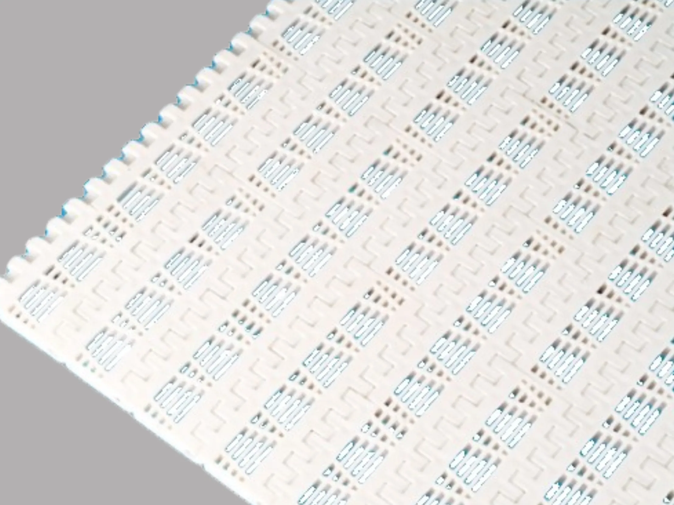 WP-1