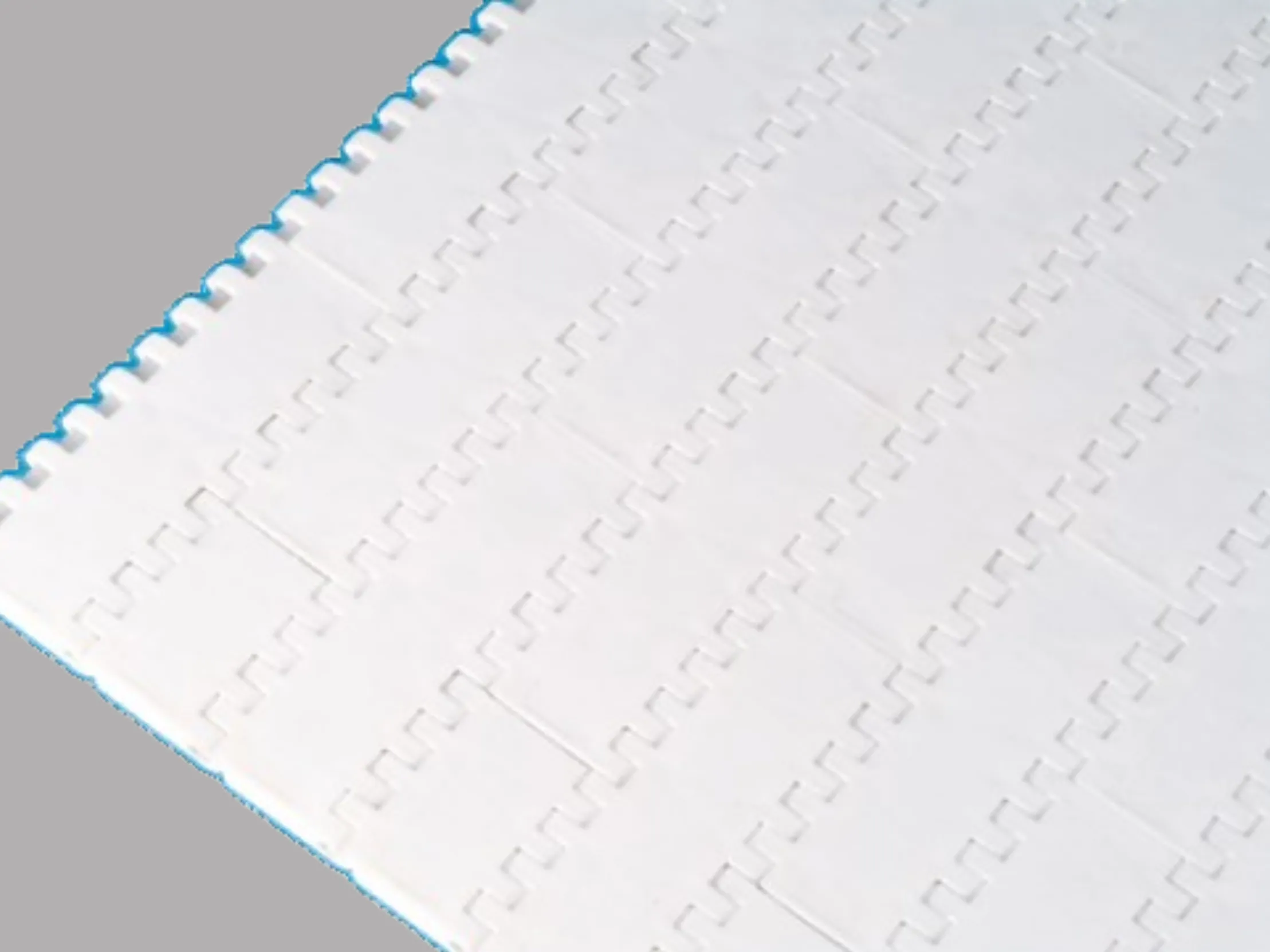 WP-2